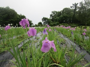 IMG_6820